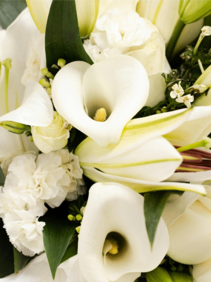 White Reverie