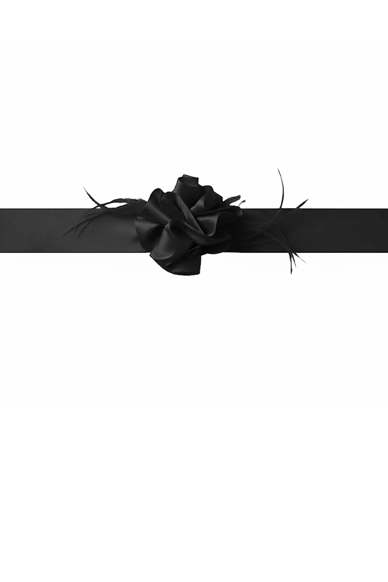 Black Organza Feather Choker - Elegant Sheer Scrunchie Accessory ...